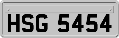 HSG5454