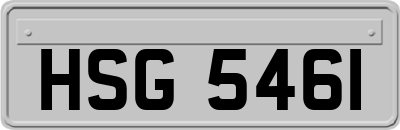 HSG5461