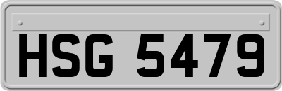 HSG5479