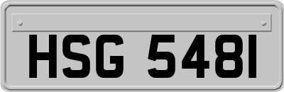 HSG5481