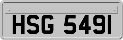 HSG5491