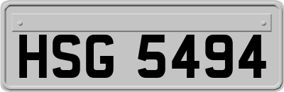HSG5494