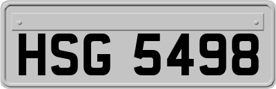 HSG5498