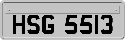 HSG5513
