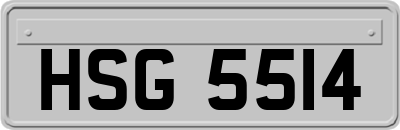 HSG5514