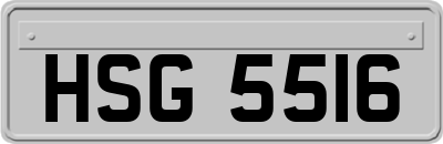 HSG5516