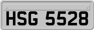 HSG5528