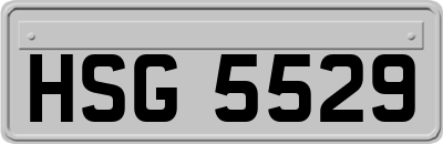 HSG5529