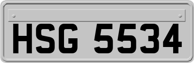 HSG5534