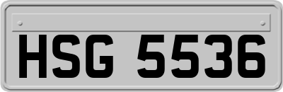 HSG5536