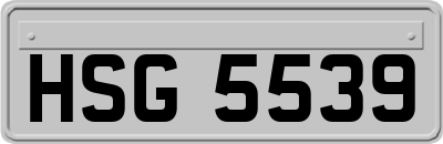 HSG5539