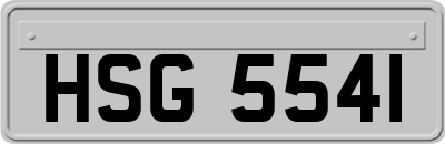HSG5541