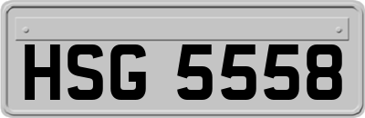 HSG5558