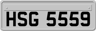 HSG5559