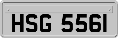 HSG5561