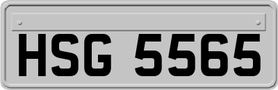 HSG5565