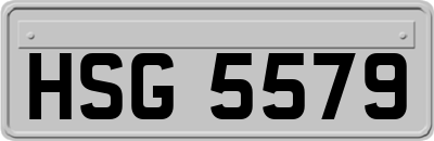 HSG5579