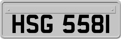 HSG5581