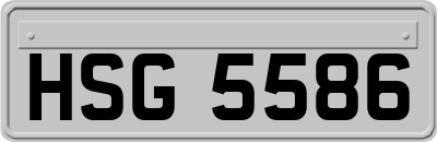 HSG5586