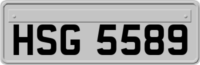 HSG5589