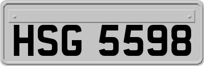 HSG5598