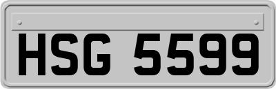 HSG5599