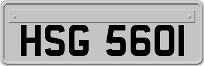 HSG5601