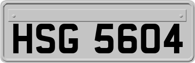 HSG5604