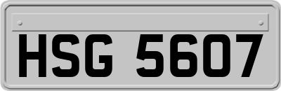 HSG5607