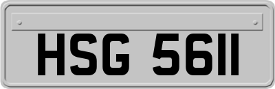 HSG5611