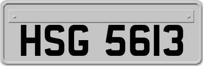 HSG5613