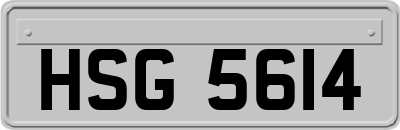 HSG5614