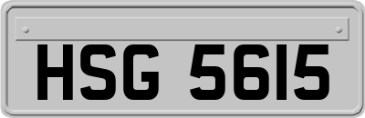 HSG5615