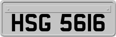 HSG5616