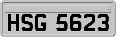 HSG5623