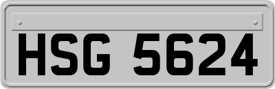 HSG5624