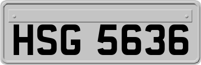 HSG5636