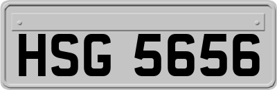 HSG5656