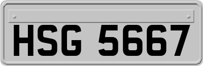 HSG5667