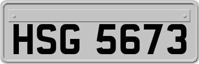 HSG5673