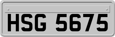 HSG5675