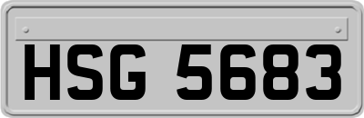 HSG5683