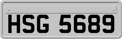 HSG5689