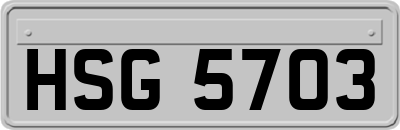 HSG5703