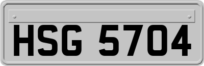 HSG5704