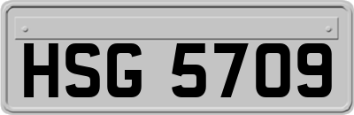 HSG5709