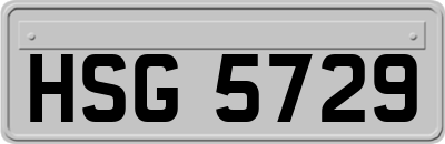 HSG5729