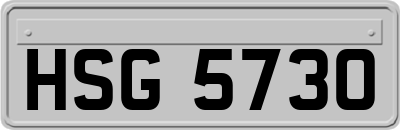 HSG5730