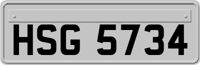 HSG5734