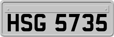 HSG5735